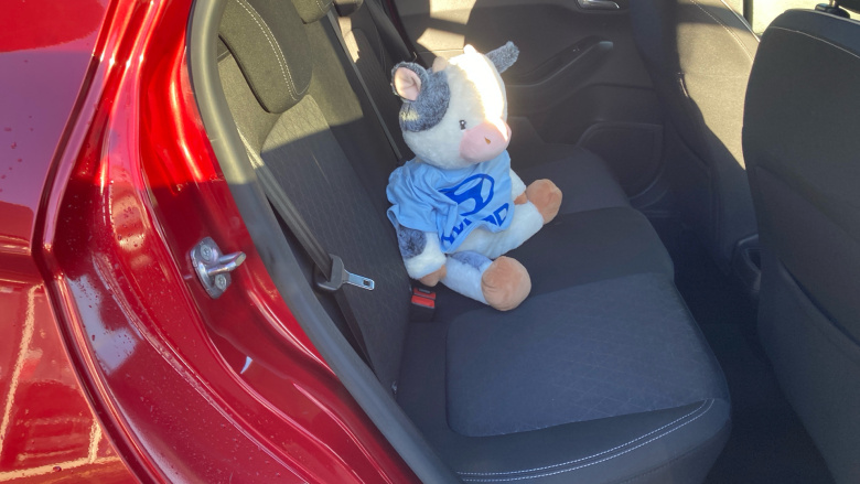 Ford Fiesta 1.0 EcoBoost Active 1 5dr Petrol Hatchback